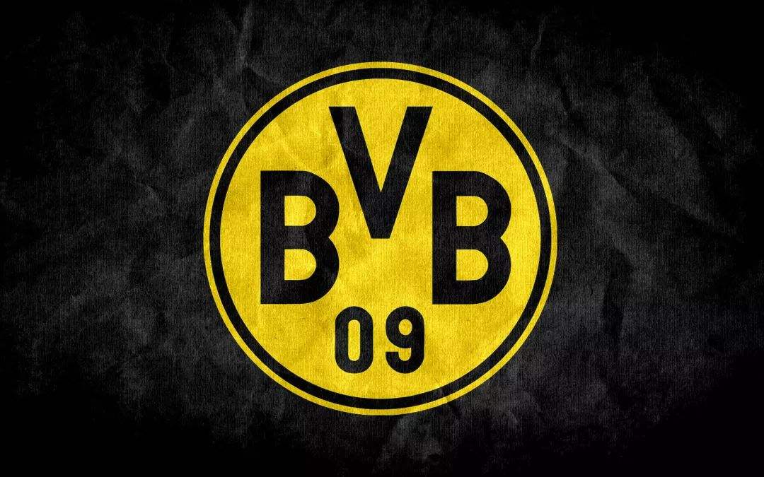 多特大将帕科因伤几乎确定无缘欧冠战巴萨