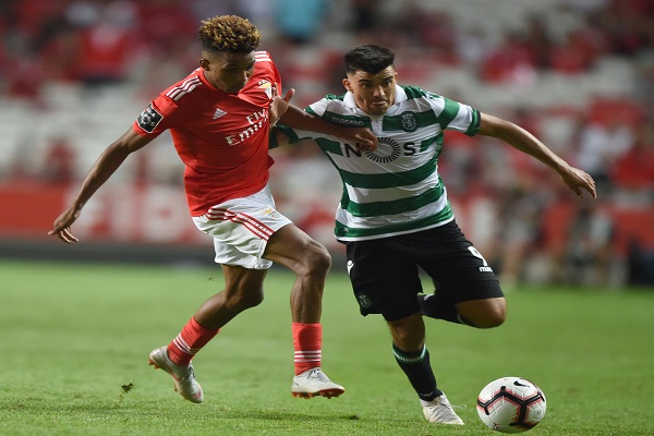 足球合同中的附加条款和特殊条款在交易中起什么作用?