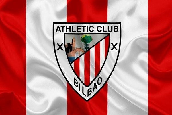 巴斯克雄狮指的是哪个球队？