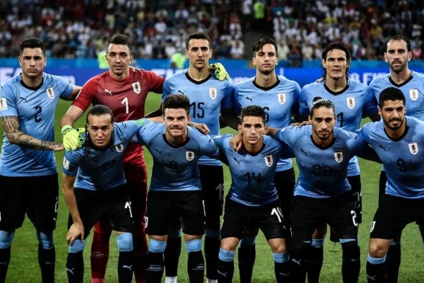 乌拉圭国家队球员身价排名如何？