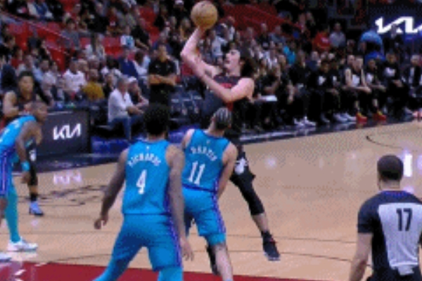 阿德巴约领军助热火击败黄蜂稳坐胜利宝座