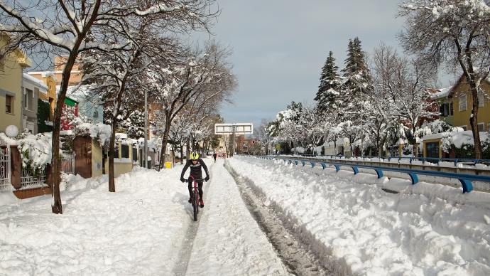 武磊中超首球(fm2014妖人前锋)（fm2020 武磊）