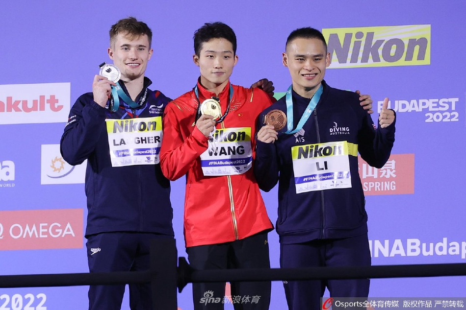 跳水男子1米板决赛 王宗源夺冠郑九源位列第8（跳水男子3米板王宗源）