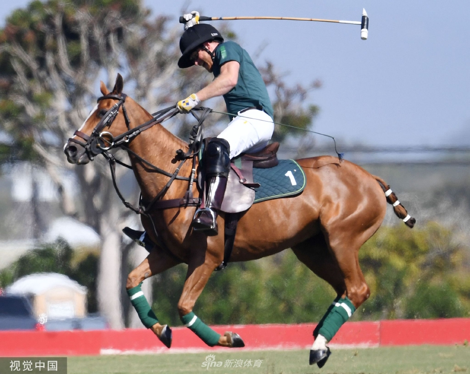 哈里王子参加马球比赛取得胜利 全身心投入身姿敏捷（哈里王子看球）