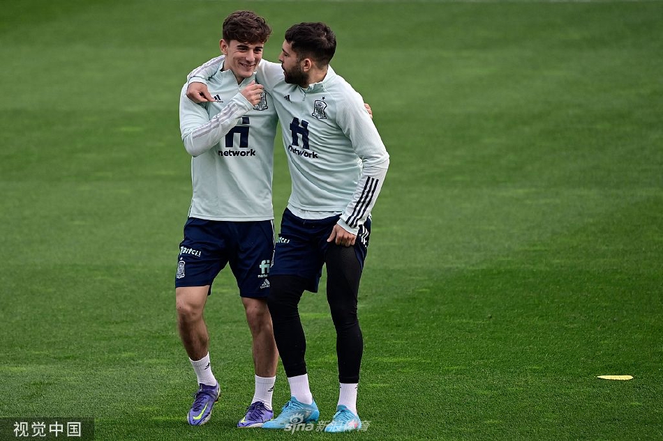 西班牙队训练备战并召开发布会（西班牙队训练备战并召开发布会视频）