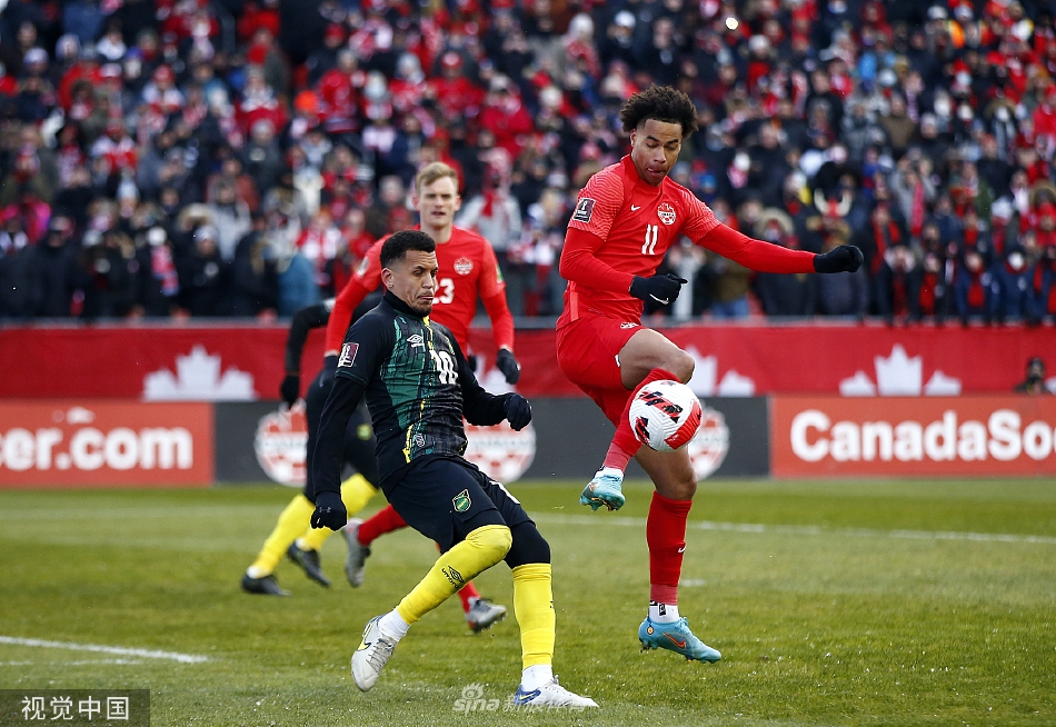 [世预赛]加拿大4-0大胜牙买加 时隔36年晋级世界杯（加拿大对阵牙买加）