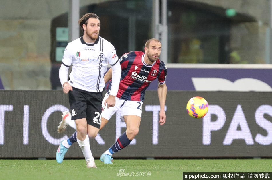 [意甲]博洛尼亚2-1斯佩齐亚（博洛尼亚 斯佩齐亚）