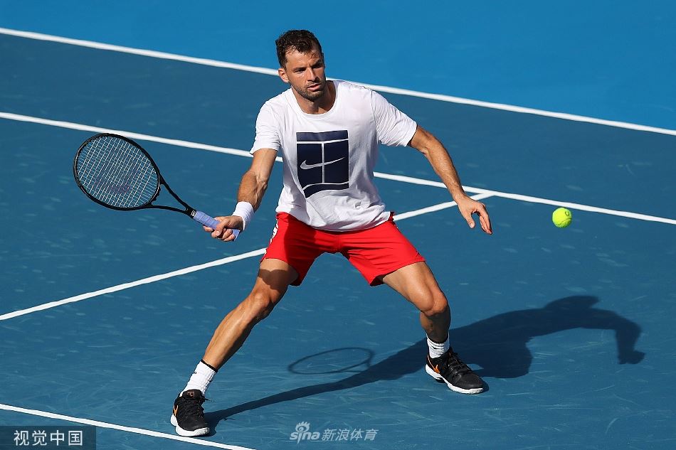 迪米特洛夫、哈勒普领衔备战（迪米特洛夫事件）