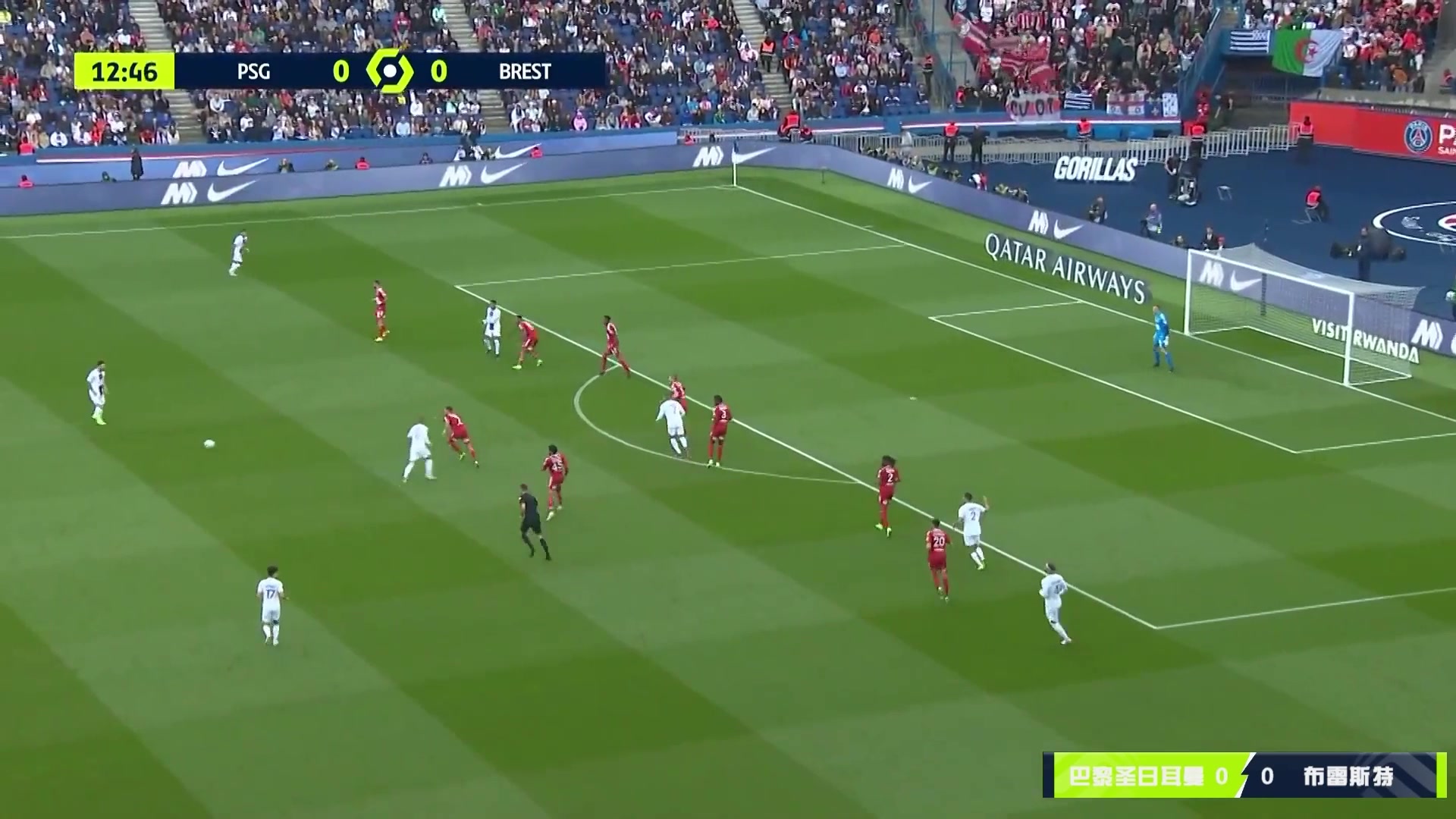 （泰勒希罗投篮姿势像谁）终于等到你！泰勒-希罗东决G7复出，赛前投篮训练