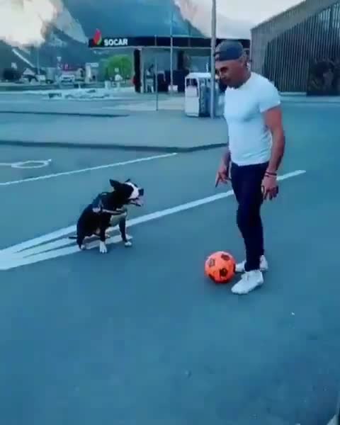 （nba爱德华兹）灰熊谁也防不住！爱德华兹首节火力全开独取16分