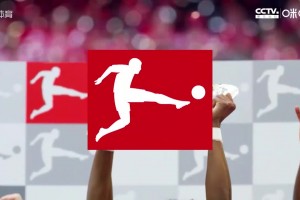 德甲-哈兰德梅开二度贝林厄姆染红 多特2-0狼堡距前四1分（多蒙特前锋哈兰德）