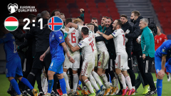 欧洲杯-最后时刻连入两球 匈牙利2-1逆转冰岛进正赛