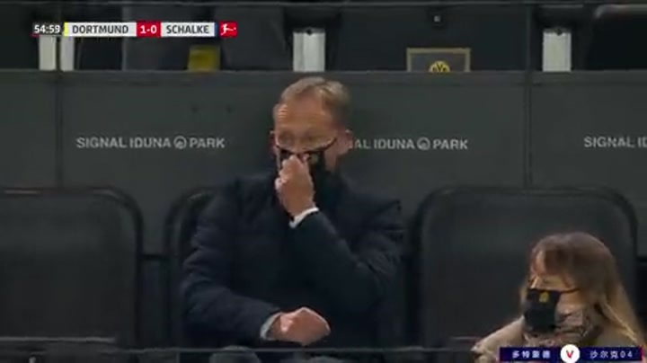 德甲-哈兰德建功胡梅尔斯破门 多特3-0沙尔克联赛三连胜（德甲-胡梅尔斯破门a席绝杀 多特1-2不敌法兰克福）