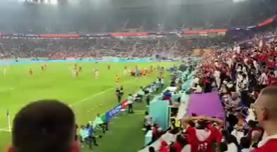 塞尔维亚球迷高喊:杀死阿尔巴尼亚人(塞尔维亚屠杀阿尔巴尼亚)