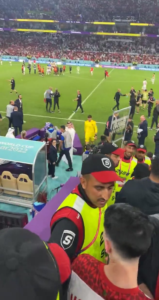 比利时0-2输球！库尔图瓦赛后挥拳砸替补席玻璃板（比利时 库尔图瓦）