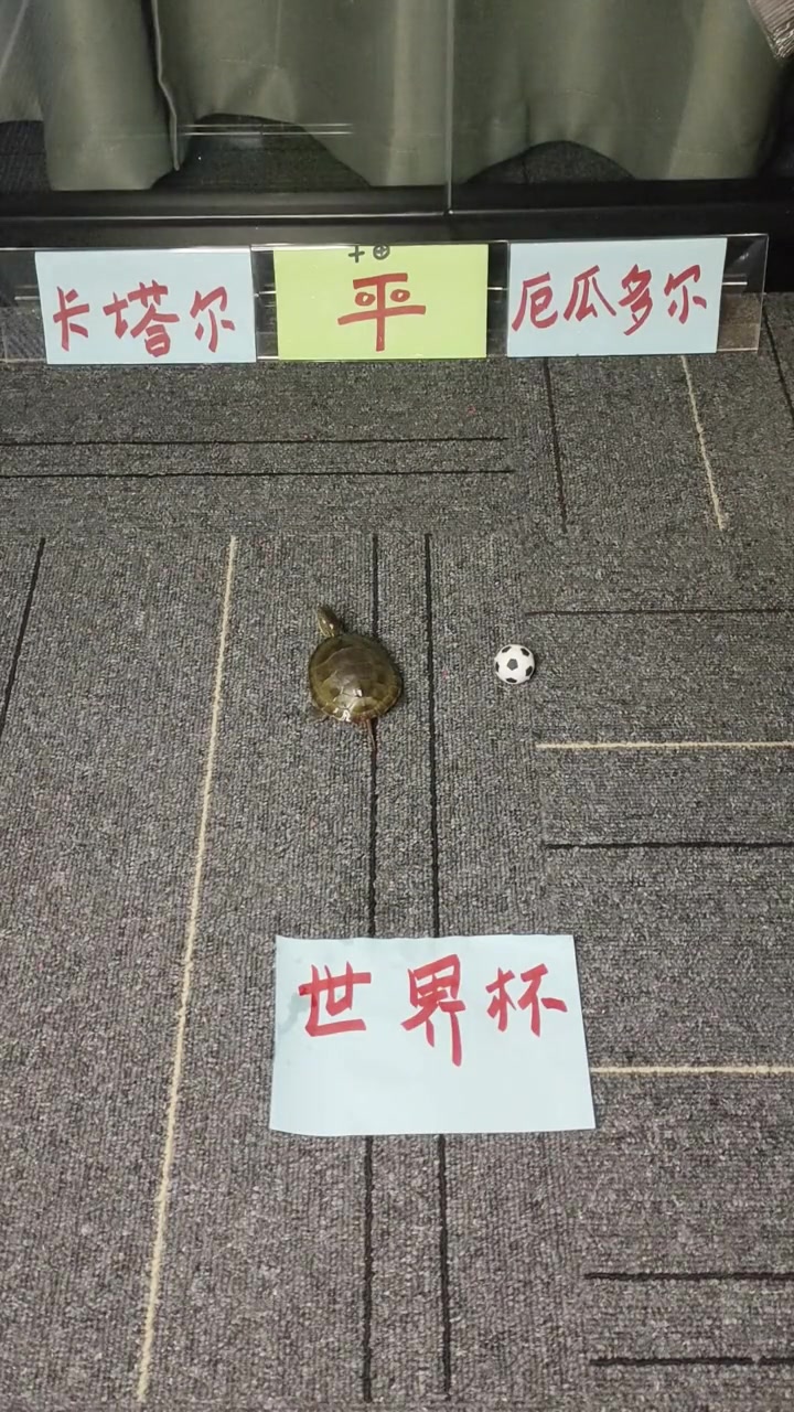 啥情况？最后还有机会且还有暂停 山西队就放弃了？