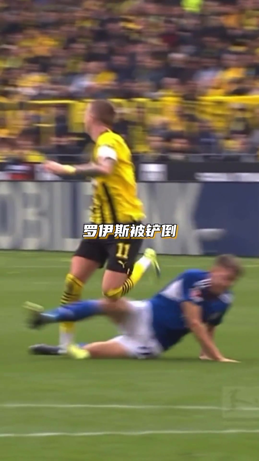 太悲情了！罗伊斯脚踝伤势未愈 再次因伤错过世界杯（罗伊斯受伤了吗）