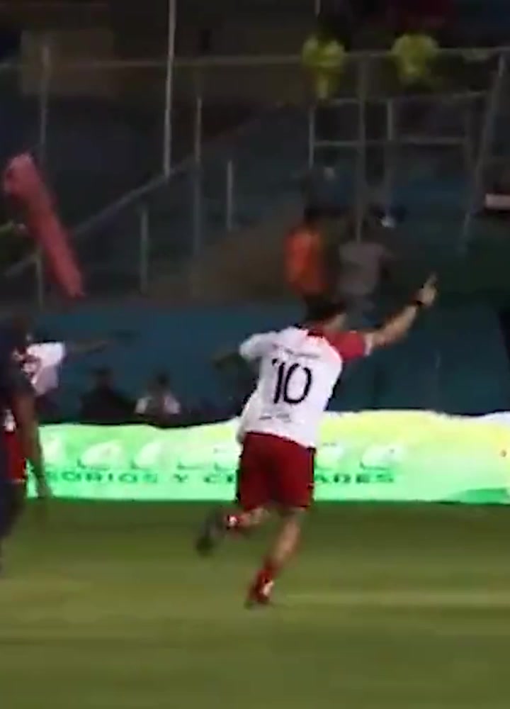 全能小外援！亚当斯砍下31分7板9助4断集锦