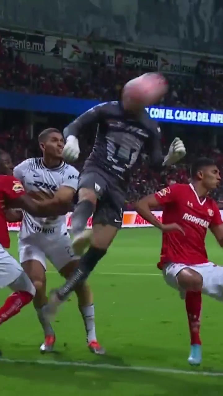 （森林里小松鼠）森林中的小松鼠！宫指导跳投很稳健