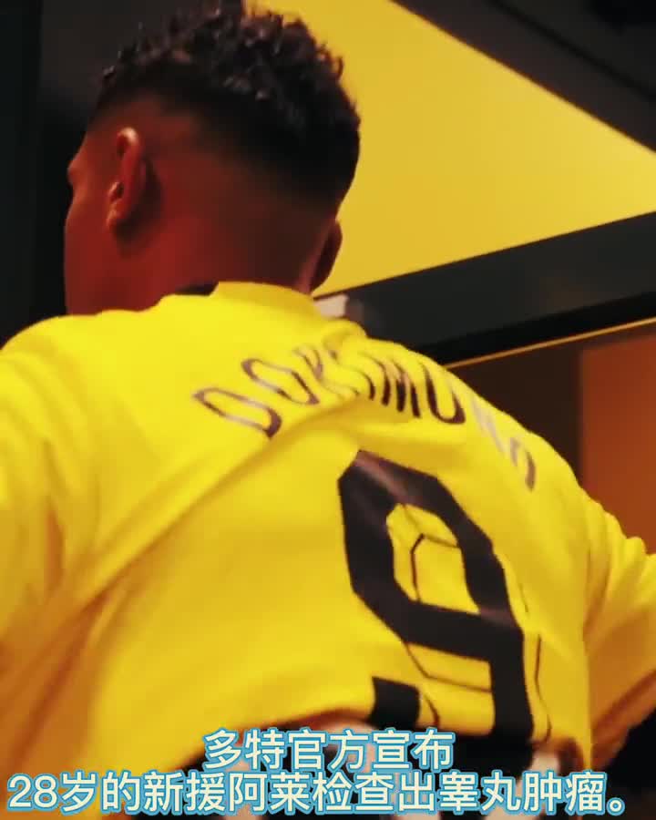 多特官方：新援阿莱检查出睾丸肿瘤（多特 引援）
