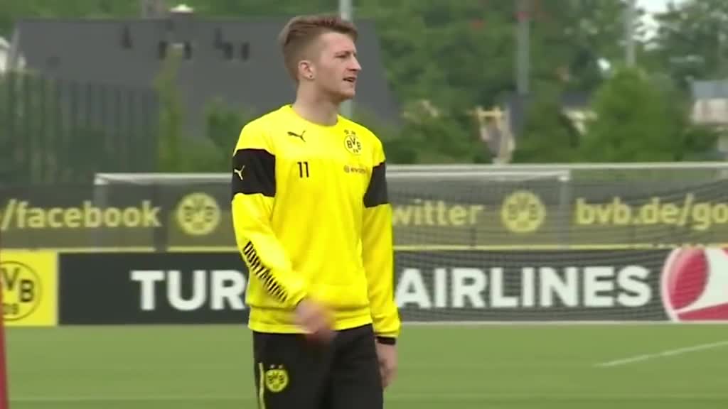 为什么罗伊斯没有那么多荣誉 但是还是有很多人喜欢他