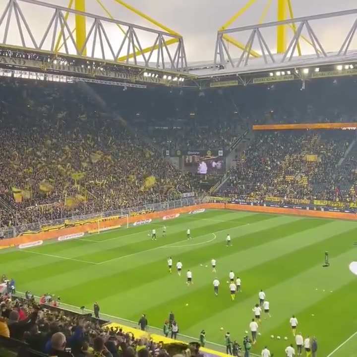 多特黄黑之墙回归！一起来感受下震撼主场氛围（多特黄心事件）