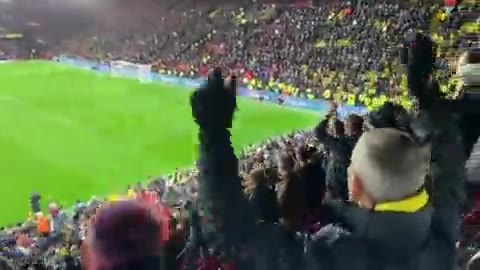 大黄蜂球迷庆祝大胜曼联（大黄蜂队球员）