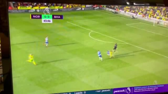 没吃饭吗？诺维奇球员神奇空门不进（诺维奇门将）