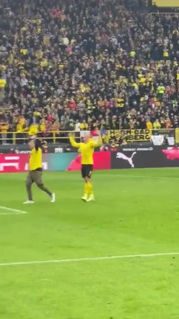 赛后哈兰德和闯入的球迷一起庆祝赢球（赛后哈兰德和闯入的球迷一起庆祝赢球视频）