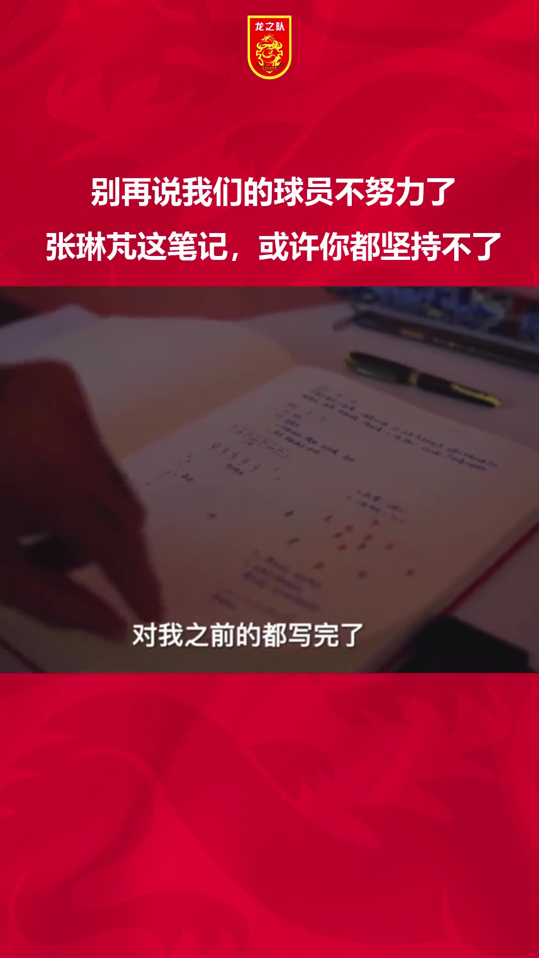 不吹不黑！张琳芃这笔记或许你都坚持不了（张琳芃专访）