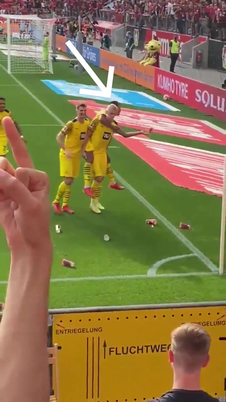 饥渴难耐？球迷泄愤狂扔啤酒 贝林厄姆接住就喝（贝林厄姆什么水平）