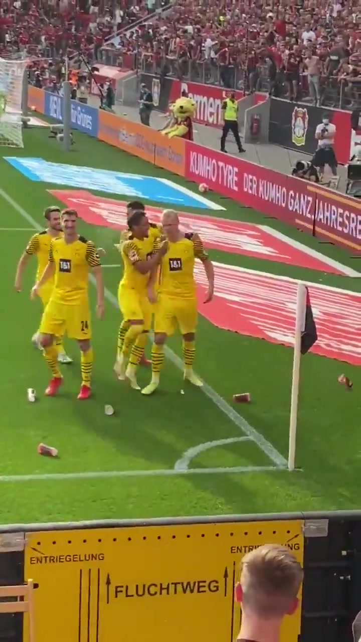 哈兰德破门疯狂庆祝 药厂球迷不满扔水杯反击（哈兰德伤停情况）