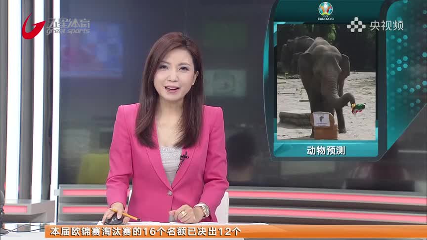 100%命中率！明星大象赛前预测德国匈牙利平局