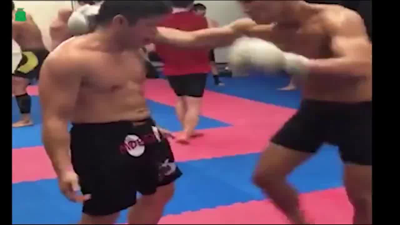 他顶住了疯狂的进攻！恶搞欧洲杯匈牙利vs法国（欧洲杯:匈牙利vs法国）