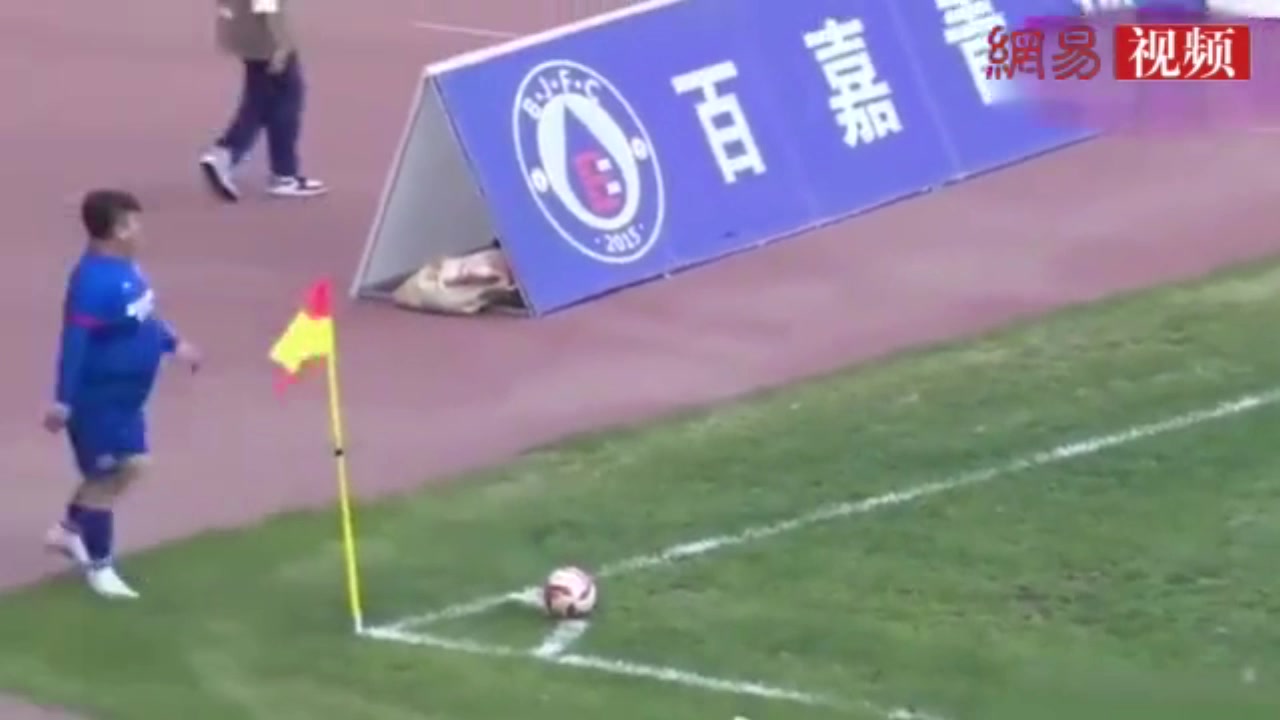 假新闻在外媒火了！中甲球队老板的126公斤儿子出场（中甲老板身价排行榜）