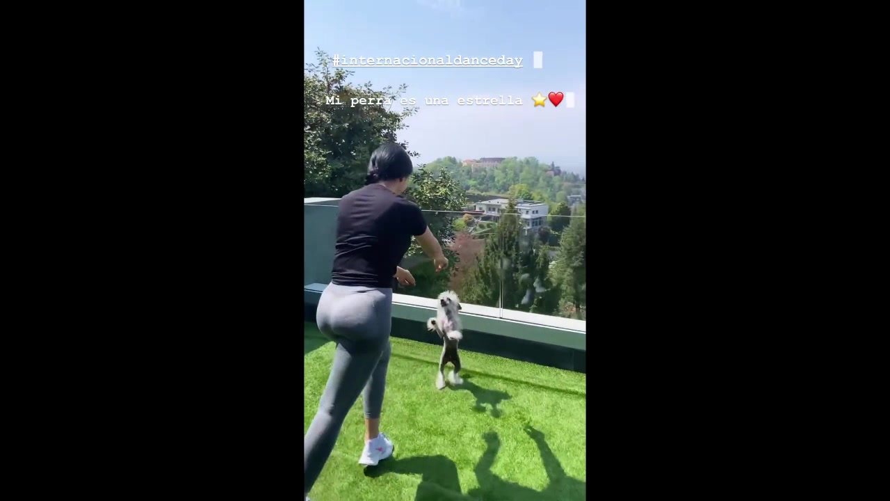 身材真棒！乔治娜和宠物狗一起翩翩起舞（乔治娜与男伴跳舞）