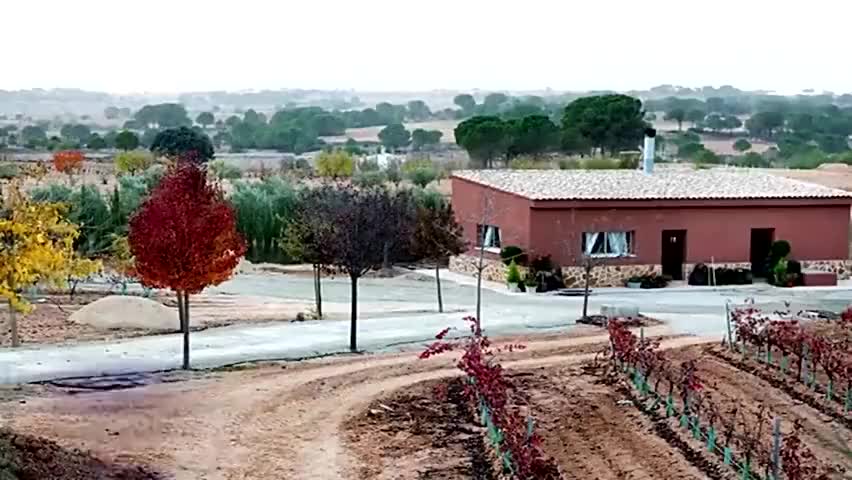 踢球挣钱买大别墅！球星们成名前后的房子变化（足球运动员别墅）