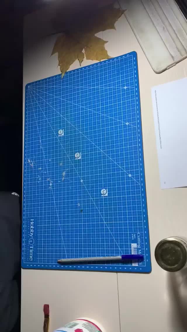 牛人！皇马球迷用树叶雕刻出皇马拉莫斯