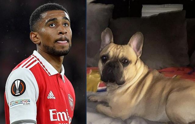 啊这!邮报:爱犬蒂亚戈伤人,阿森纳球员尼尔森9月面临刑事审判