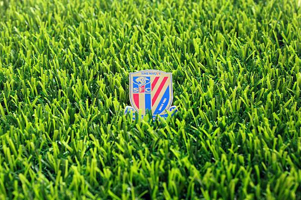 （中超申花球员）中超｜申花引进鲍亚雄、张威、崔麟