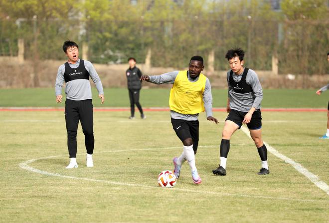 青岛足球的荣耀与挑战！三级联赛齐发力 青岛海牛力争中超站稳脚跟