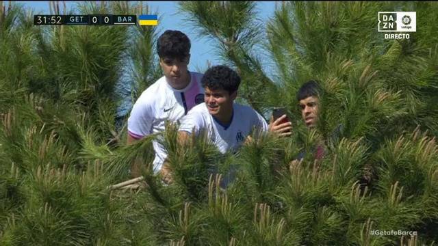 (大巴黎 马赛)成分真复杂!疯狂球迷身穿大巴黎、马赛球衣上树看巴萨比赛